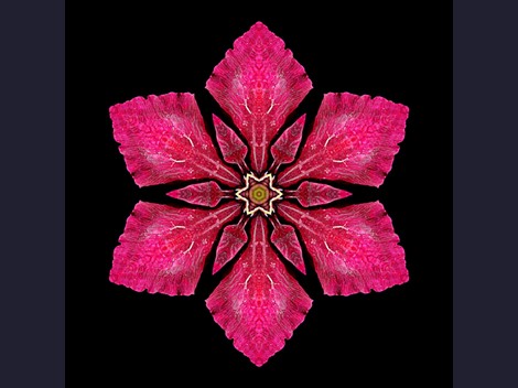 Terapias Tântricas para Mulheres no Recreio dos Bandeirantes